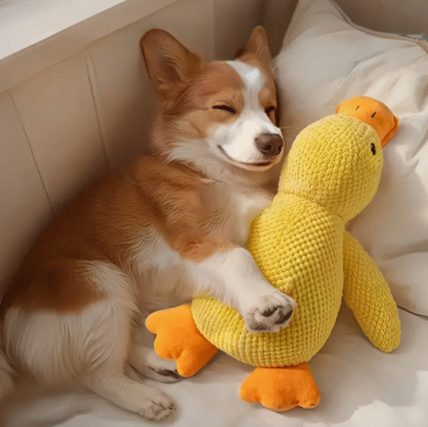Soft Chew Resistant Plush Duck Dog Toy