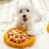 Squeaky Plush Pizza with Fun Sound Dog Toy