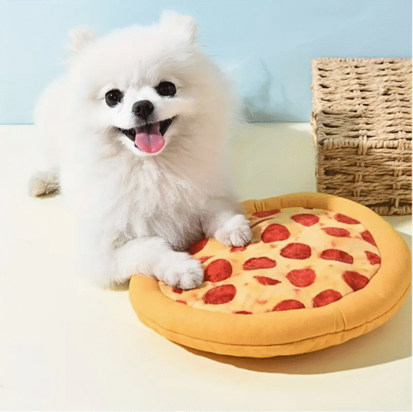Squeaky Plush Pizza with Fun Sound Dog Toy