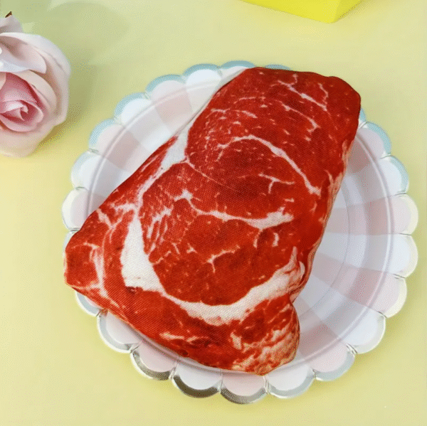 Squeaky Steak Shaped Dog Toy