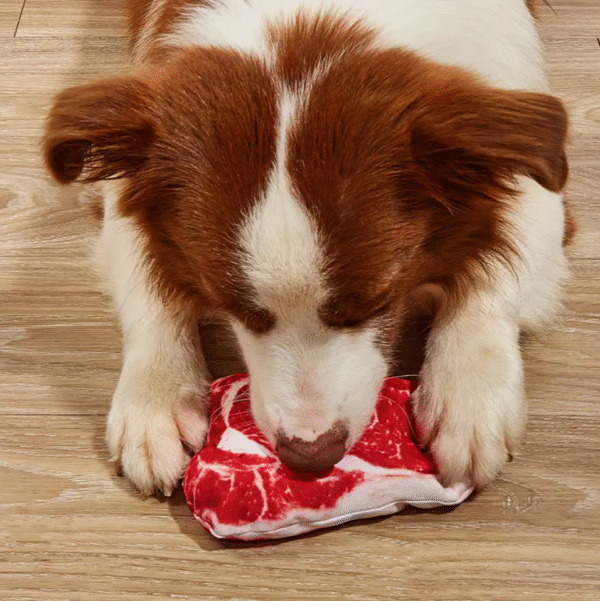 Squeaky Steak Shaped Dog Toy