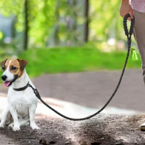 Reflective Dog Collar and Leash Set