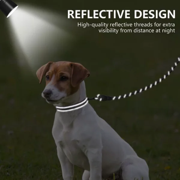 Reflective Dog Collar and Leash Set