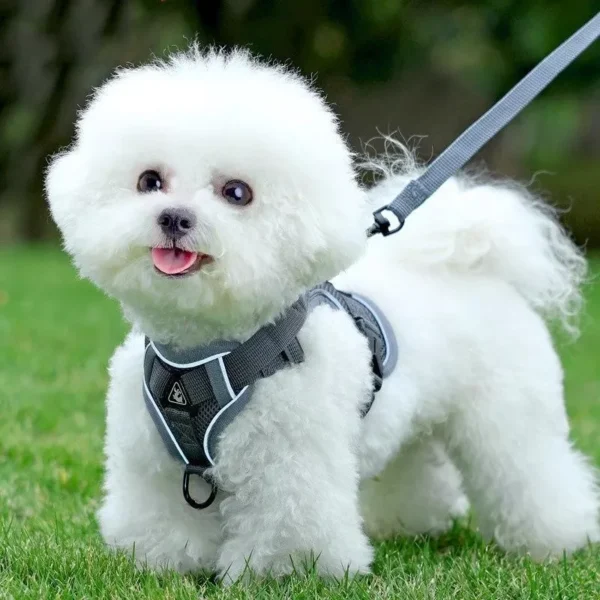 Reflective Breathable Pet Chest Strap