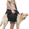 Adjustable Dog Recovery Harness with Leash