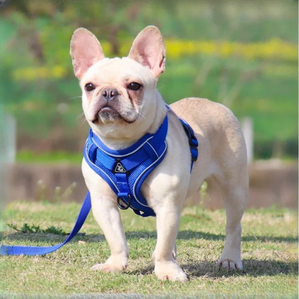 Reflective Breathable Pet Chest Strap