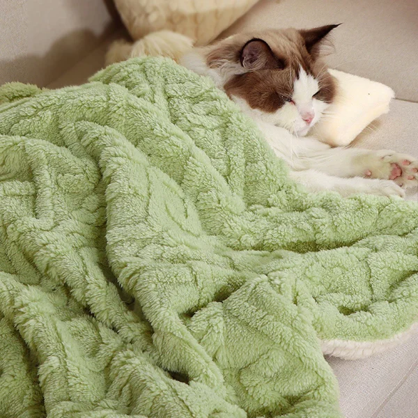 Pet Fluffy Sleeping Blanket