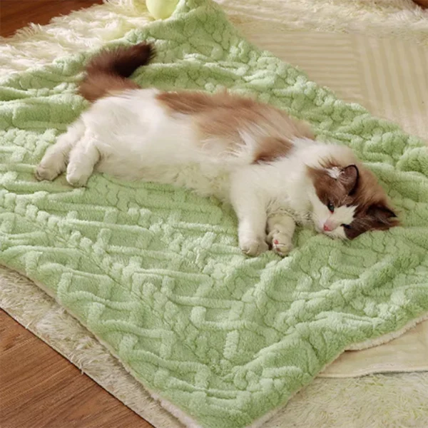 Pet Fluffy Sleeping Blanket
