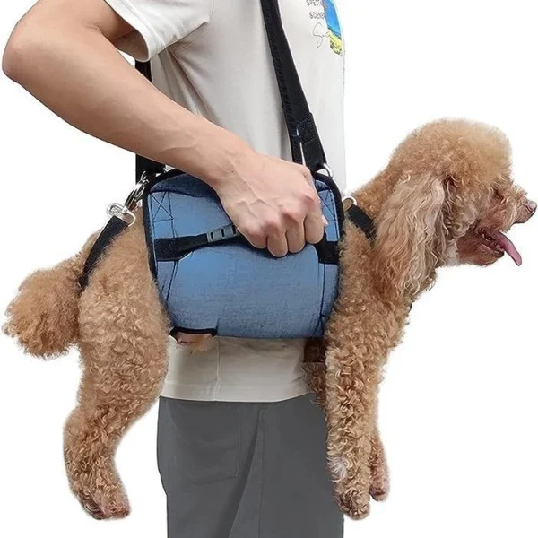 Adjustable Dog Recovery Harness with Leash