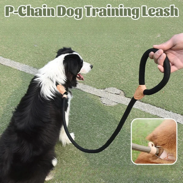 Dog Leash Strong Rope P Chain Collar