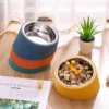 Stainless Steel Pet Incline 15 Degree Elevated Bowl