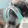 Adjustable Harness and Leash Set for Small Dog