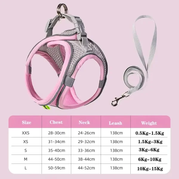 Adjustable Harness and Leash Set for Small Dog